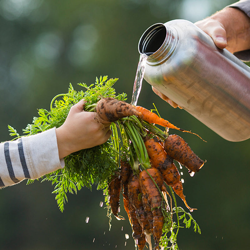 64oz-wide-with-loop-cap-m2 64oz_wide_mouth_bottle_carrots_rinse_square.jpg