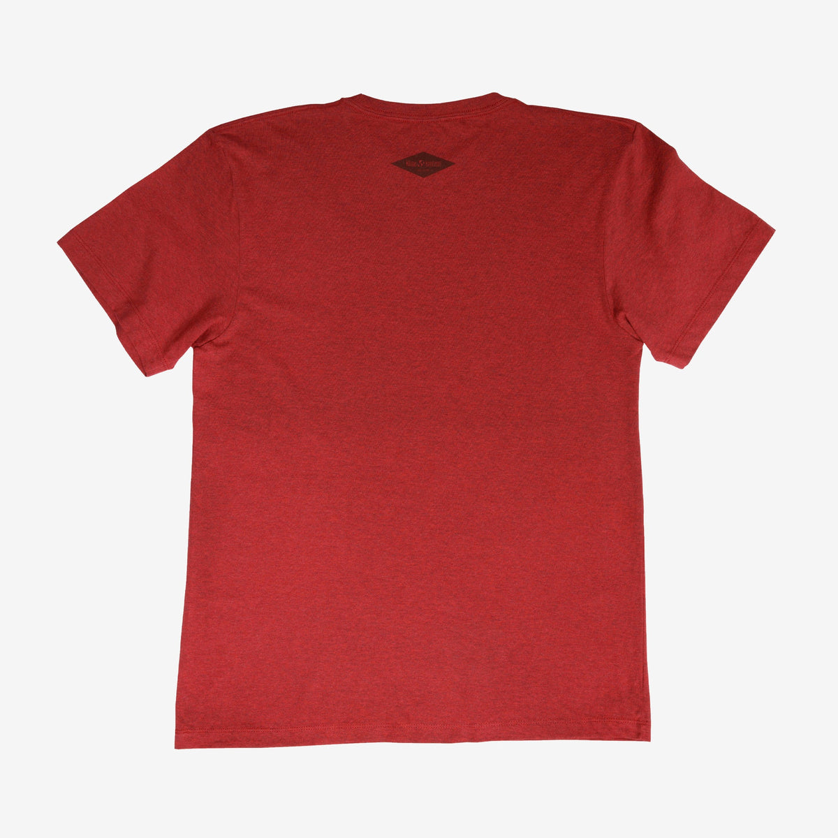 backyard-t-shirt-x4 Shirt_Mtn_Back.jpg